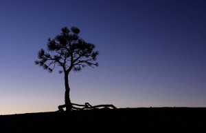 原画质 壁纸分享 第三、四、五期 4K下载【3840*2160分辨率】