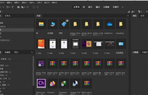 Adobe Bridge 2020中文/英文版安装教程