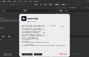 Adobe Bridge 2021(Br2021)详细安装方法