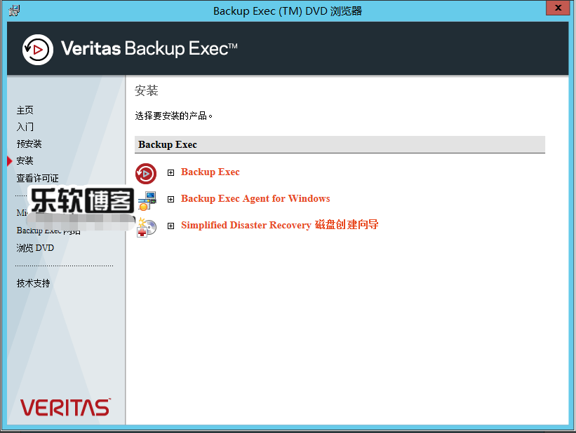 Veritas Backup Exec 20.5中文破解插图1