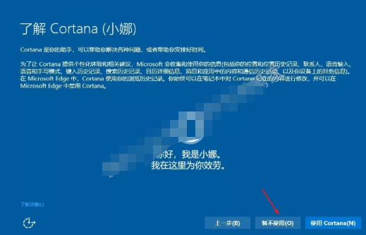 Windows 10 系统安装教程插图13