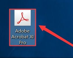 Acrobat XI Pro安装教程-windows版插图13