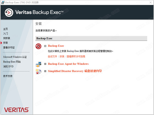 Veritas Backup Exec 21.4 中文破解版插图3