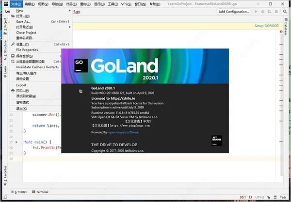 JetBrains GoLand 2020