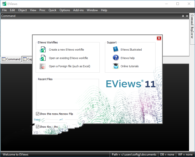 EViews 11.0