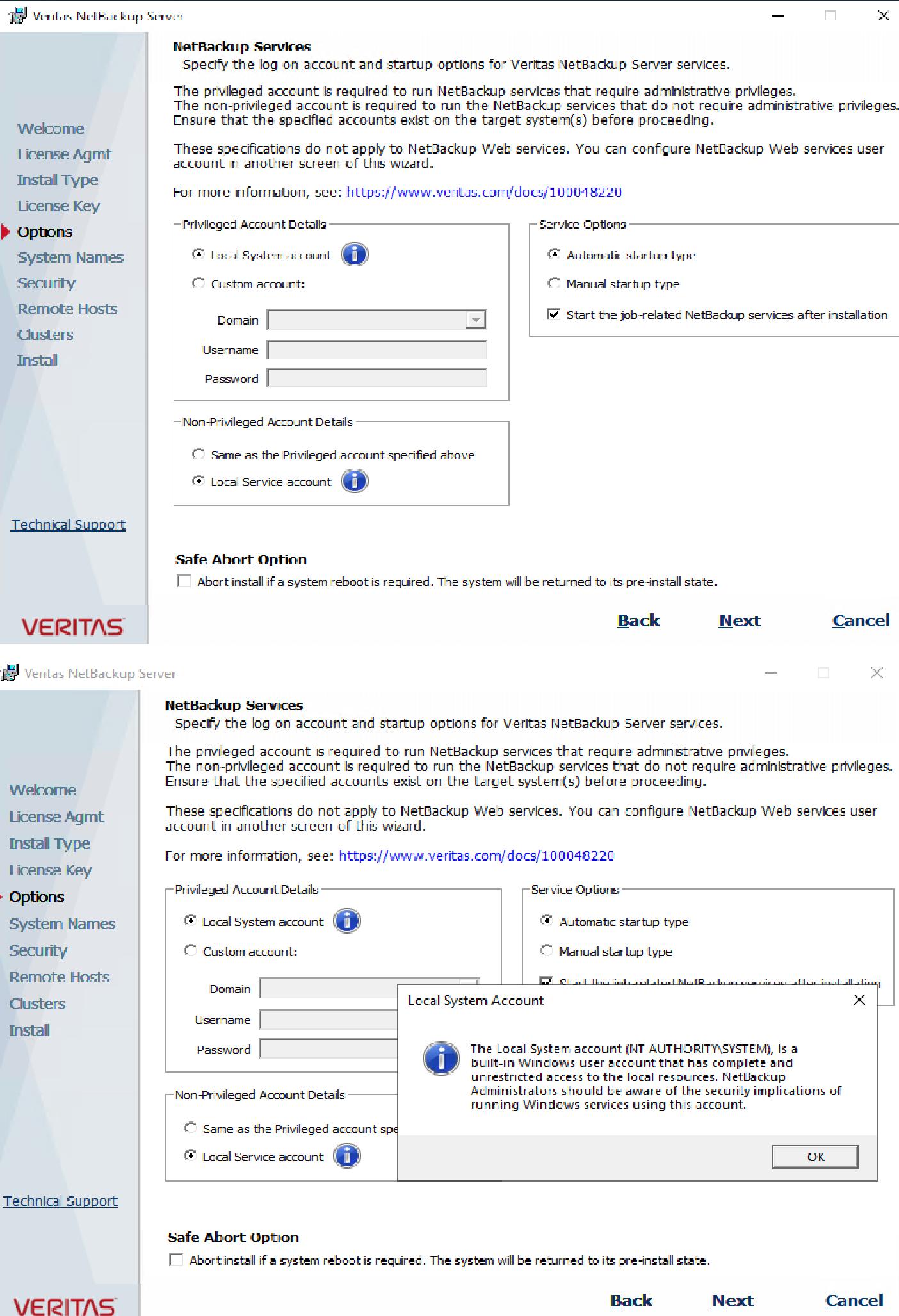 在Windows Server 2022上安装Veritas NetBackup v9.1插图9
