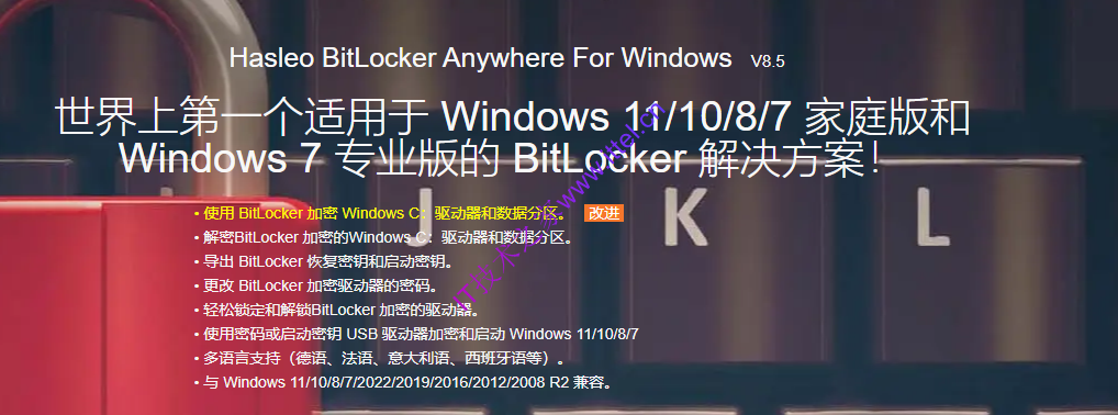 Hasleo BitLocker Anywhere 8.6中文破解版
