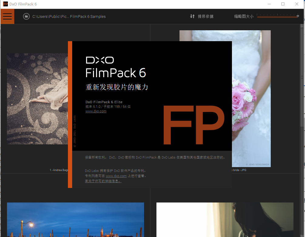 DxO FilmPack Elite 6.1.0 中文破解版