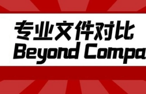 Beyond Compare v4.4.2.26348 中文绿色便携版