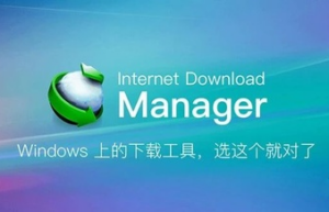 Internet Download Manager