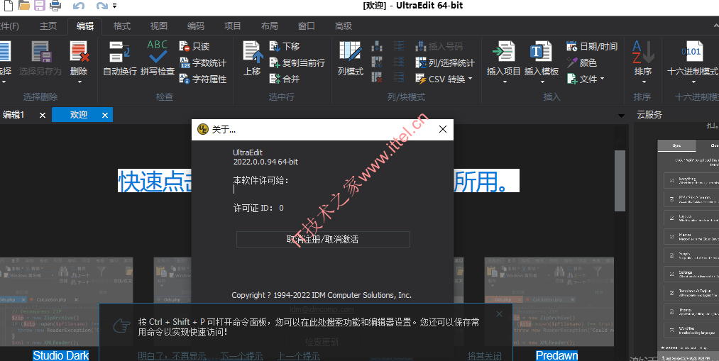 IDM UltraEdit v29.00 中文破解版