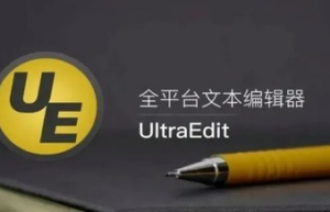 IDM UltraEdit v29.00 中文版