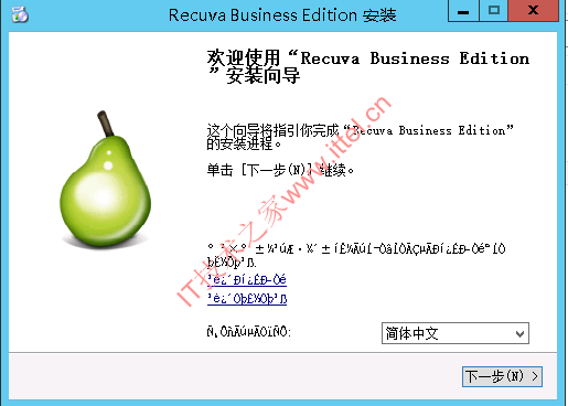 Recuva v1.53.2078 中文企业版/专业版/技术员版