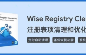 Wise Registry Cleaner X Pro