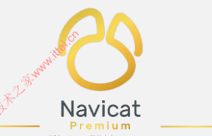 Navicat Premium