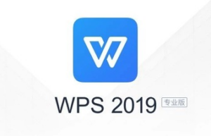 WPS 2019 专业增强版