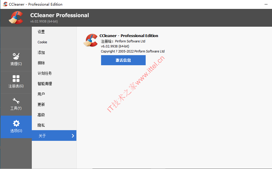 CCleaner Pro v6.10 中文绿色便携版插图2 版本信息