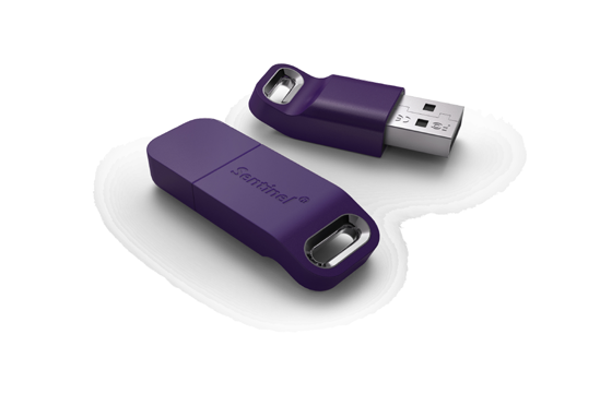 USB Raptor,用U盘代替开机密码,制作U盘加密狗插图 加密狗