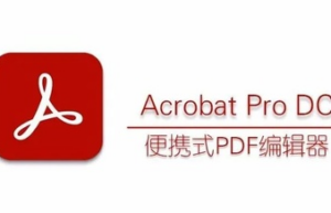Adobe Acrobat Pro DC 便携版