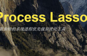Process Lasso Pro