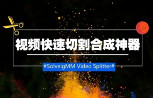 视频无损截取&分割软件SolveigMM Video Splitter