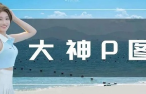 大神P图