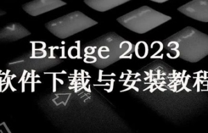 Adobe Bridge 2023