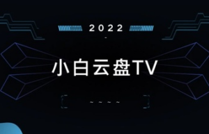 小白云盘TV版