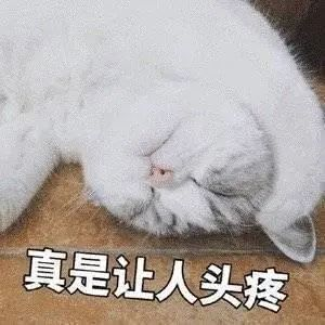 头疼