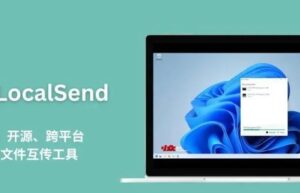 LocalSend