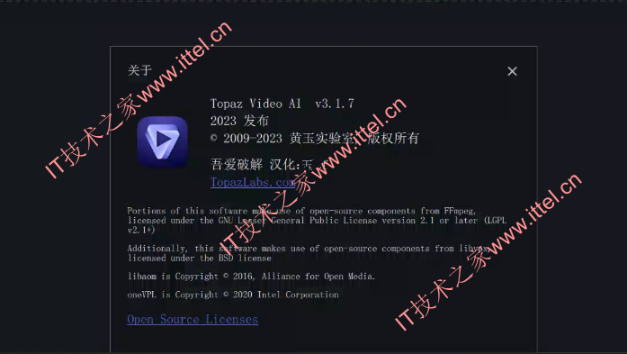 Topaz Video AI v3.1.10 绿色便携版（附带最新v3.1.7 中文汉化版）