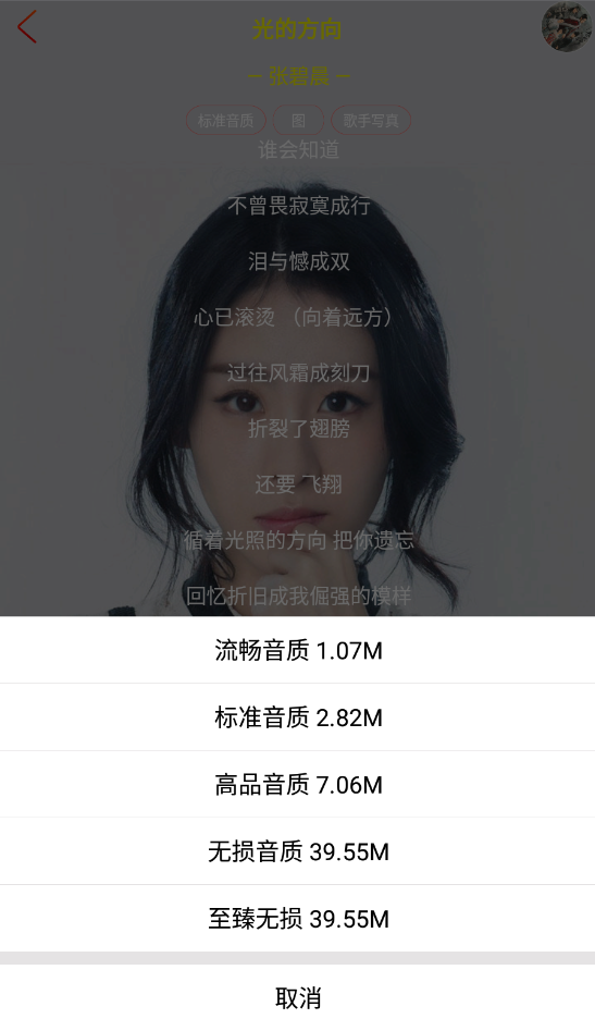 无损音质下载