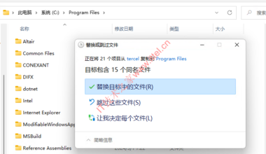 油藏管理软件Roxar RMS 2022 v13.1 安装教程