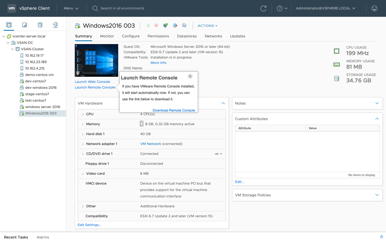 vSphere Client 中的启动远程控制台入口