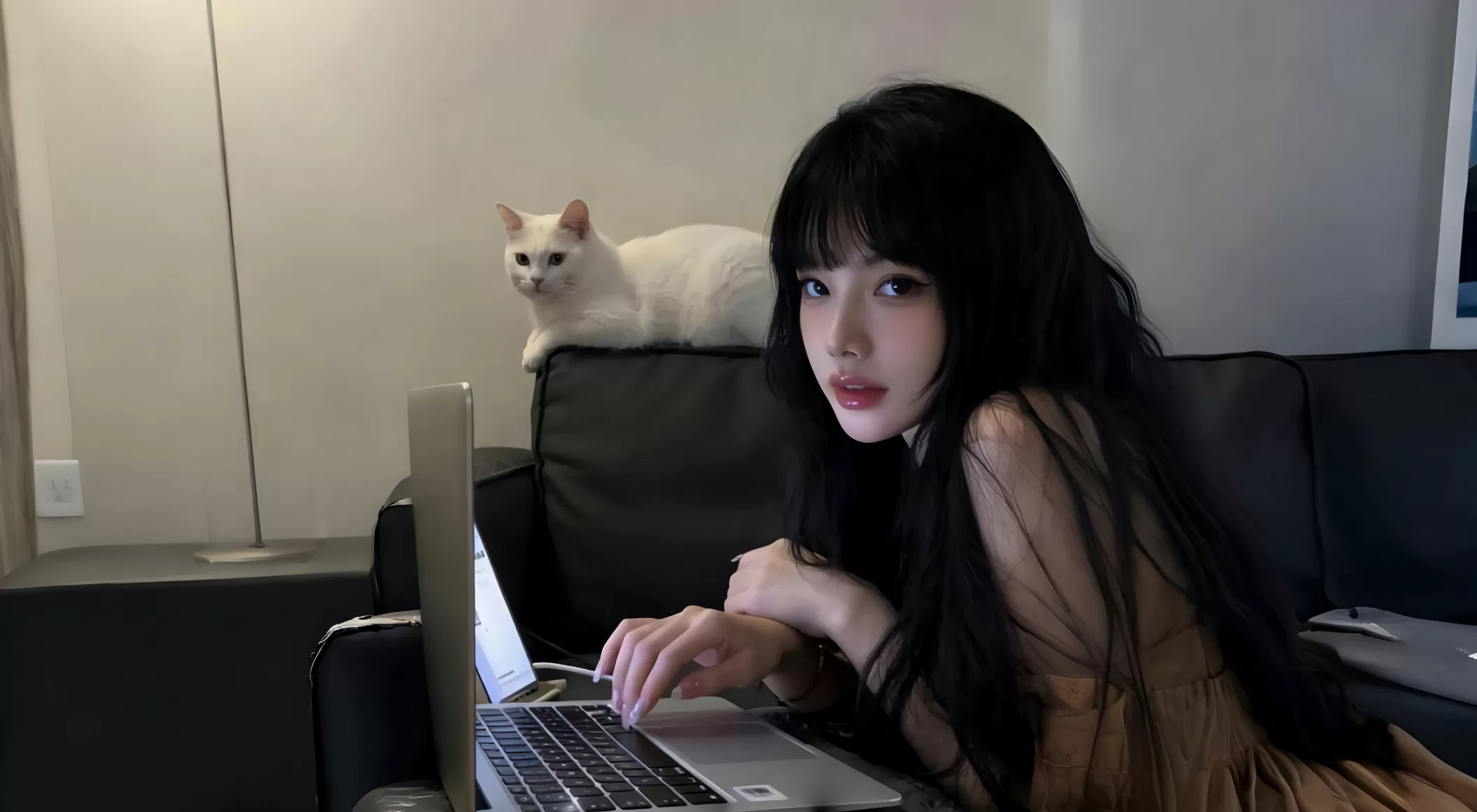 壁纸6